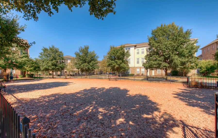 Let your dog run in a dog park, like the one at Legacy apartments in Carmel. Wide open dog park at Noblesville apartments.